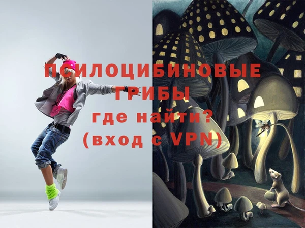 прущий лед Пестово