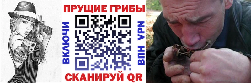 mega сайт  Агрыз  Псилоцибиновые грибы Magic Shrooms 